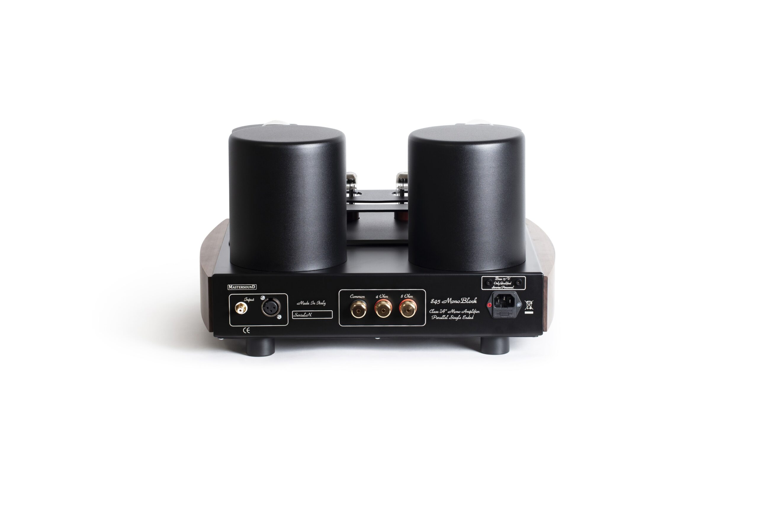 MastersounD Monoblock 845 coppia mono - immagine 5